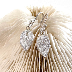 Handcrafted fine silver Sage Leaf Earrings showing authentic leaf veining and natural texture, molded from real garden sage leaves. Displayed against a piece of natural coral by Coastalstyle Australia