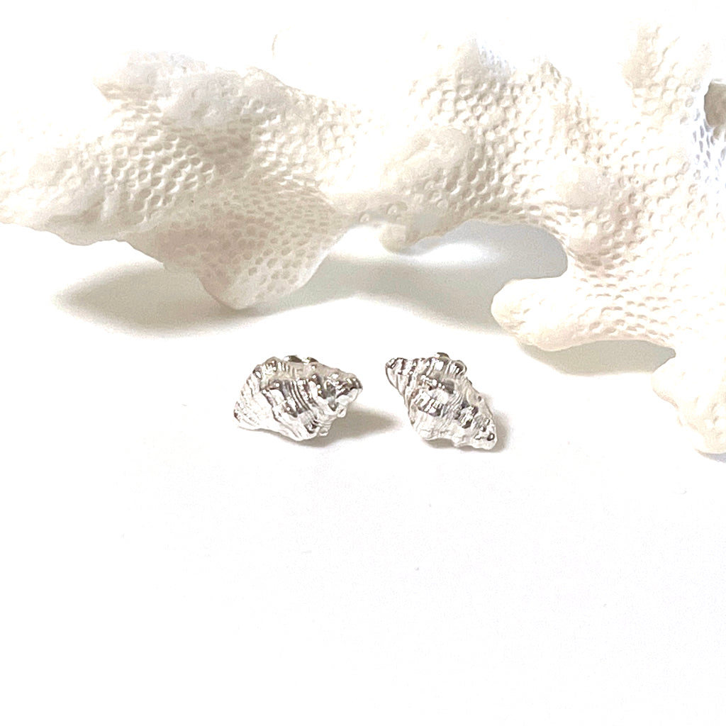 Conch shell earrings in pure silver against a piece of coral. Coastalstyle Australia