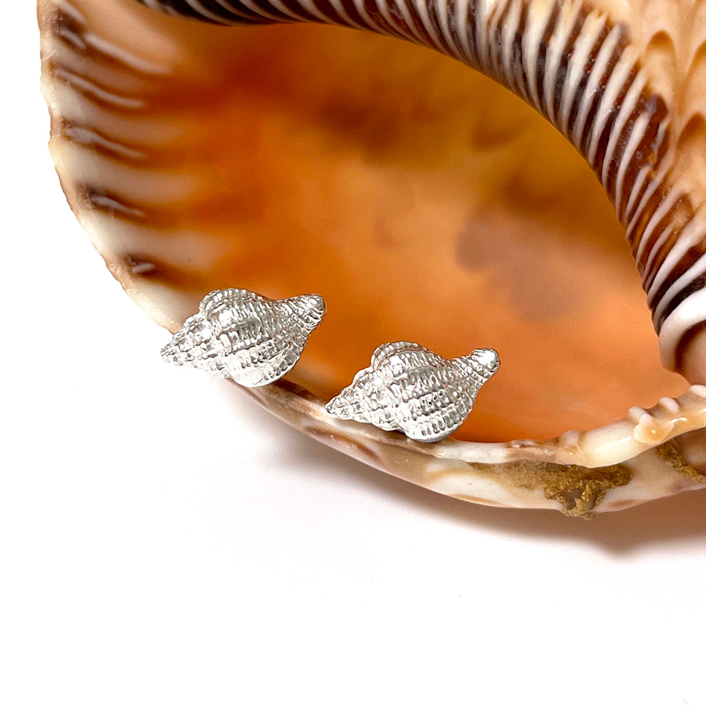 Shell Studs