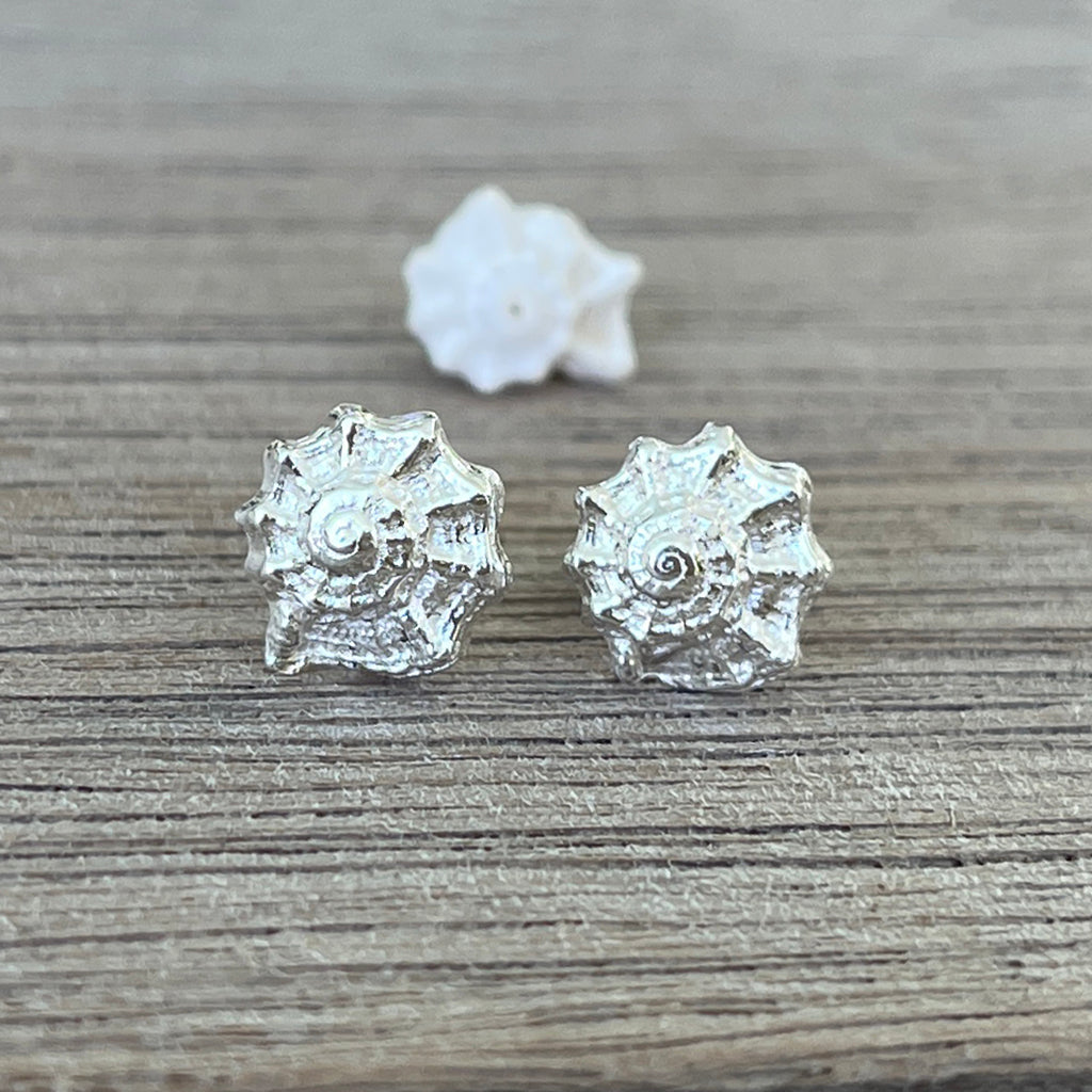 Cape Palmerston pure silver stud earrings on a pink shell