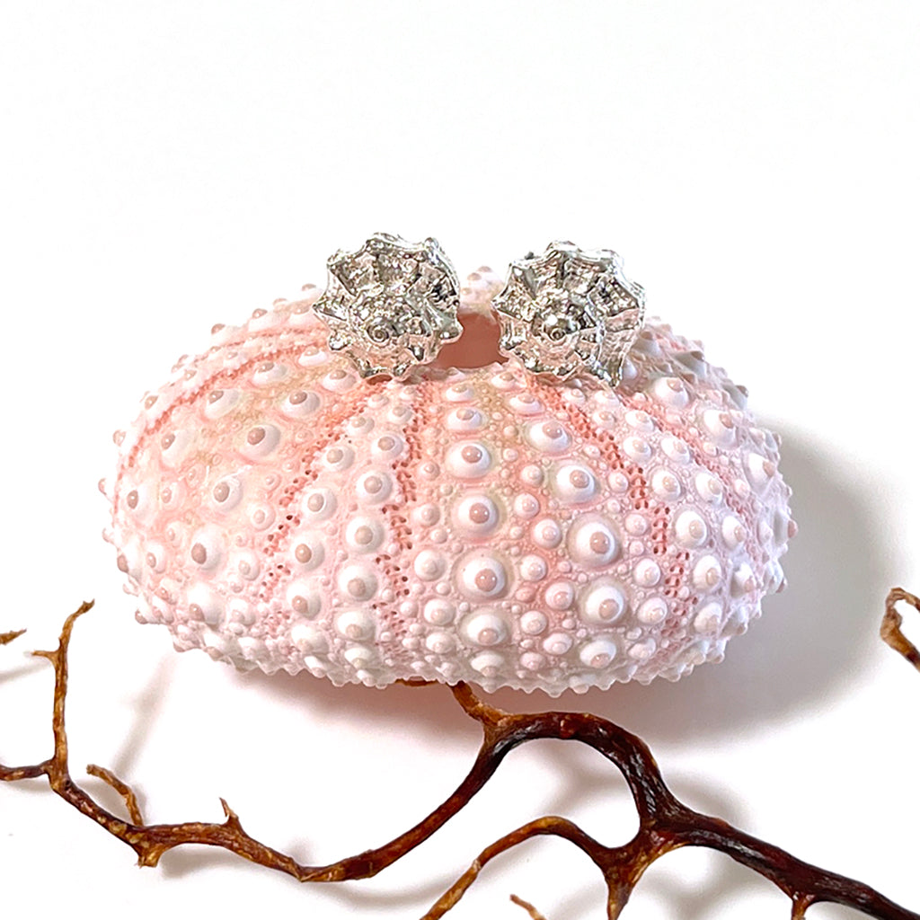 Cape Palmerston pure silver stud earrings on a pink shell