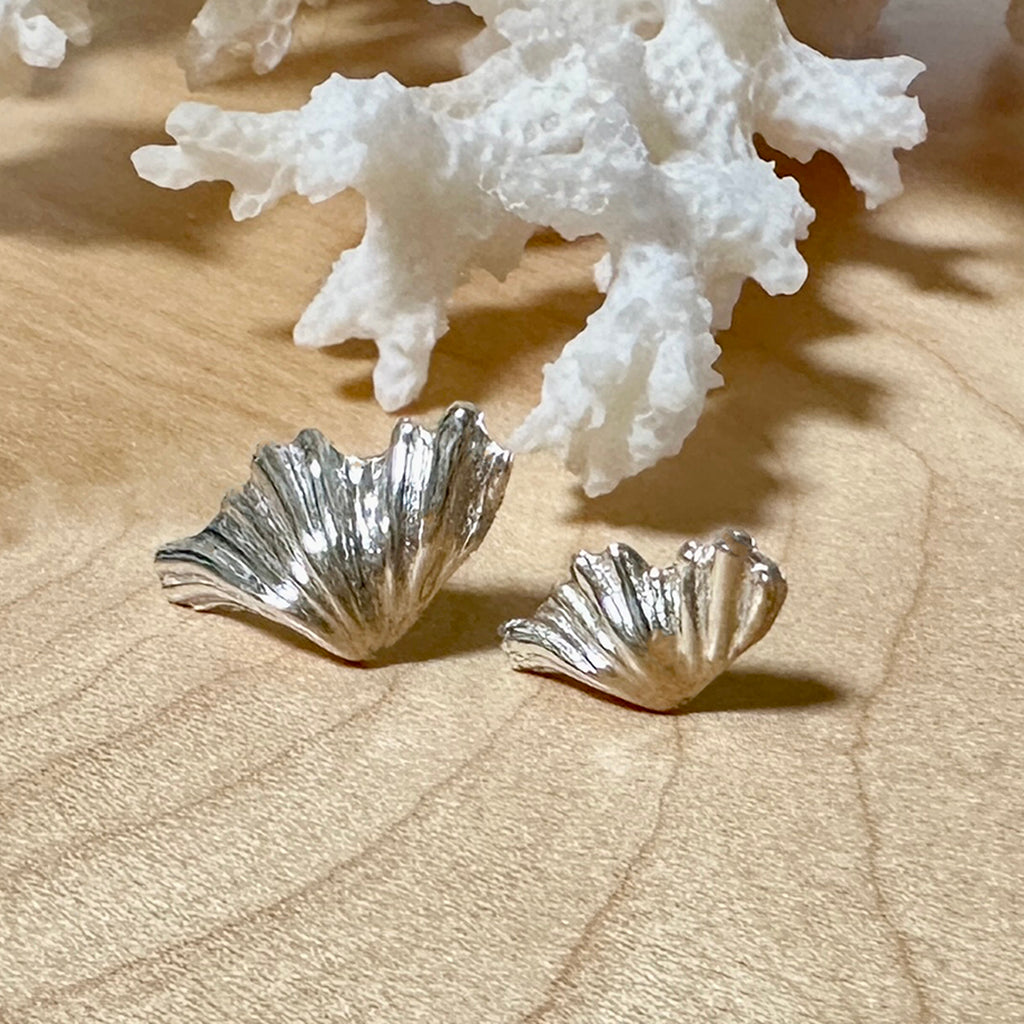 Handmade pure silver Clam Shell Earrings displayed on a piece of natural coral. Coastalstyle Australia