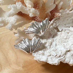 Handmade pure silver Clam Shell Earrings displayed on coral