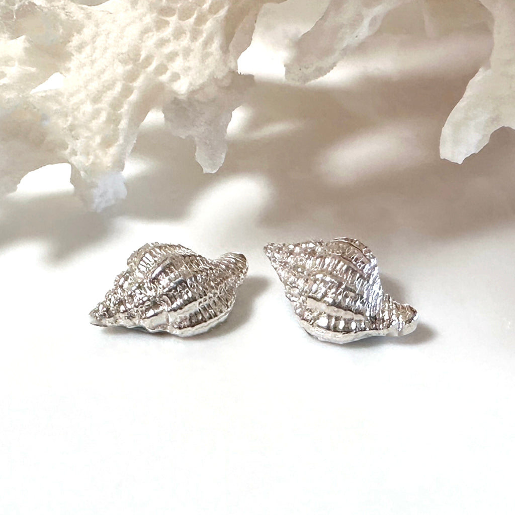 Pure silver shell stud earrings showcasing intricate details, inspired by Australian beach treasures.​