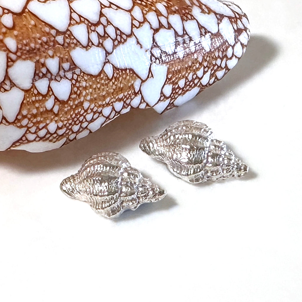 Pure silver shell stud earrings inspired by Australian beach treasures.​ Coastalstyle Australia