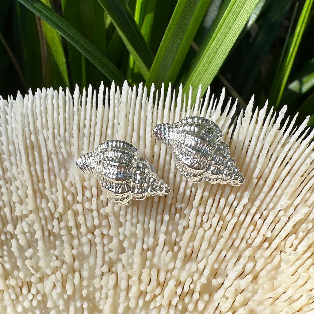 Pure silver shell stud earrings showcasing intricate details, inspired by Australian beach treasures.​