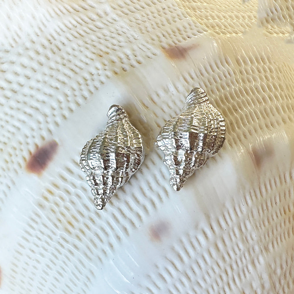 Pure silver shell stud earrings showcasing intricate details on a large shell, inspired by Australian beach treasures.​