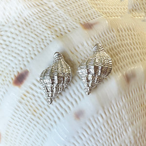 Pure silver shell stud earrings showcasing intricate details on a large shell, inspired by Australian beach treasures.​