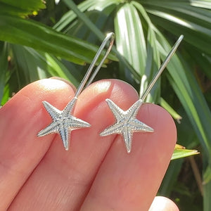 Little Sea Stars