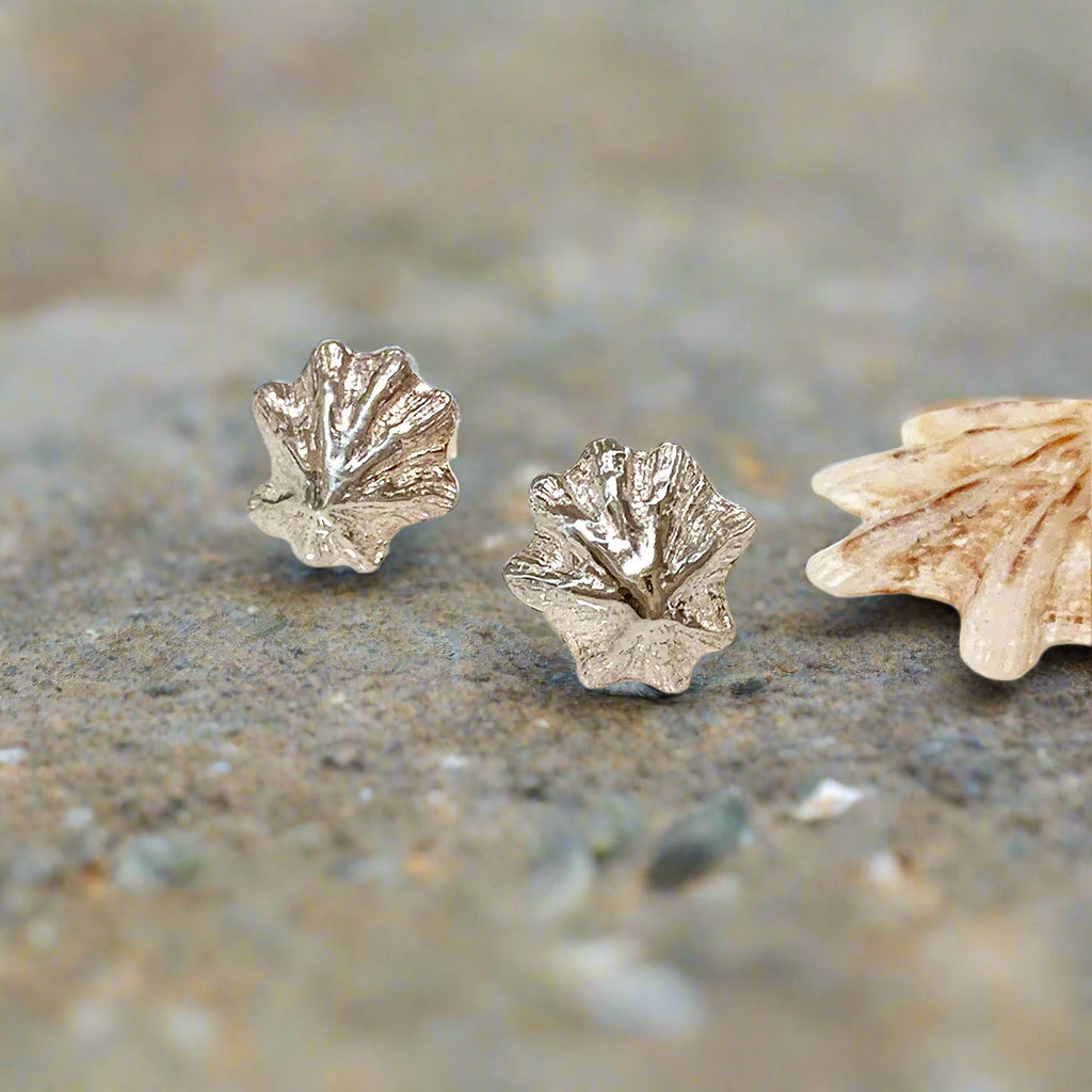 Sea inspired Limpet Shell Stud Earrings