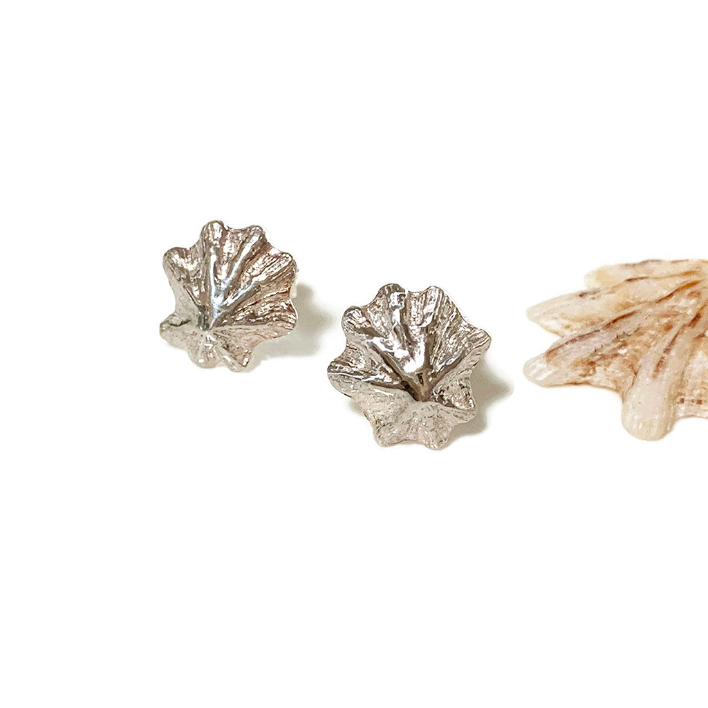 Sea inspired Limpet Shell Stud Earrings front