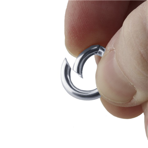 Interchangeable charm holder