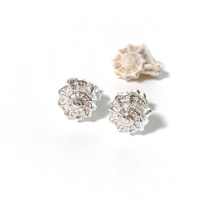 Shell silver stud Earrings