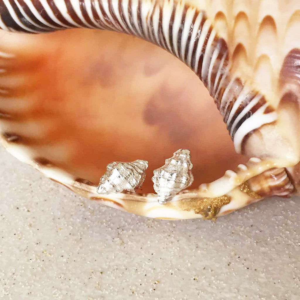 Conch Shell Silver Stud Earrings on shell