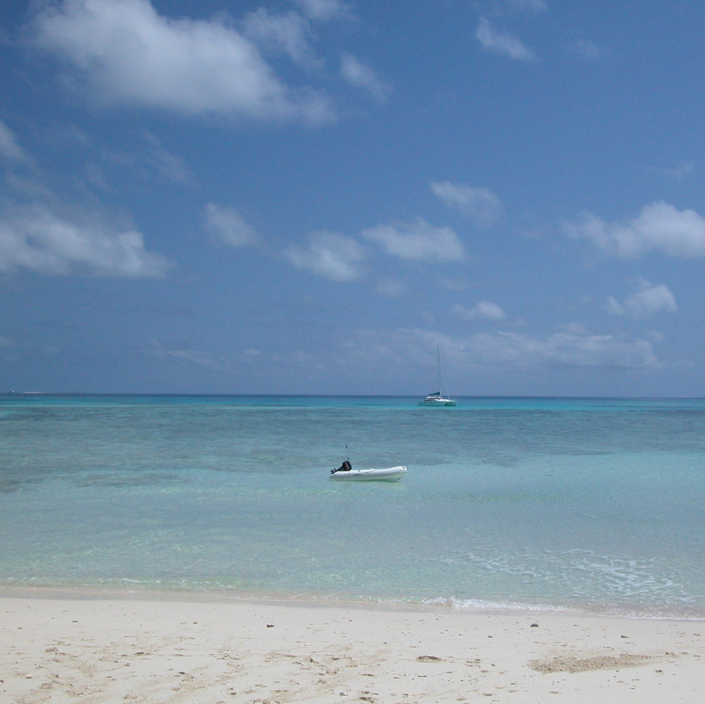 Close-up of the Ocean Magic Necklace by Coastalstyle Australia, showcasing a fine silver coral pendant with a faceted chalcedony stone and freshwater pearls.​