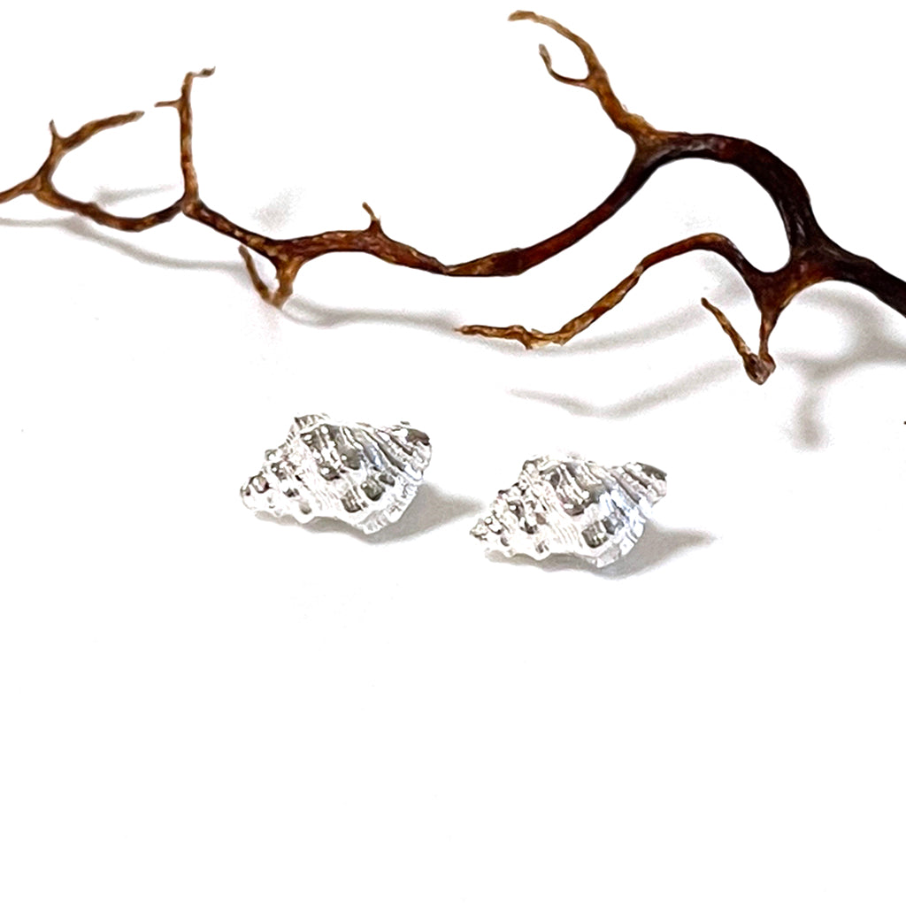 Conch shell earrings in pure silver against a piece of coral. Coastalstyle Australia