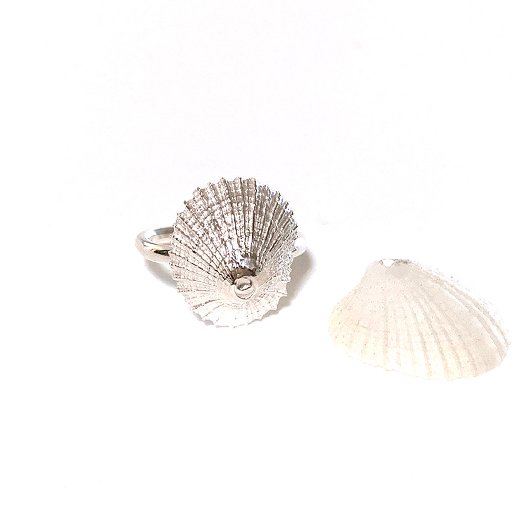 Pure Silver Ocean inspired Treasure Ring with shell