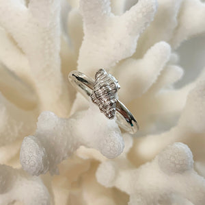 Silver Conch Shell Stacking Ring on coral
