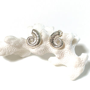 Spirula Pure Silver Stud Earrings on coral