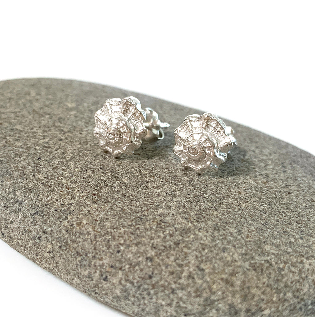 Shell silver stud earrings on rock
