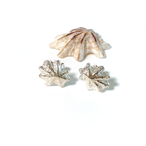 Sea inspired Limpet Shell Stud Earrings