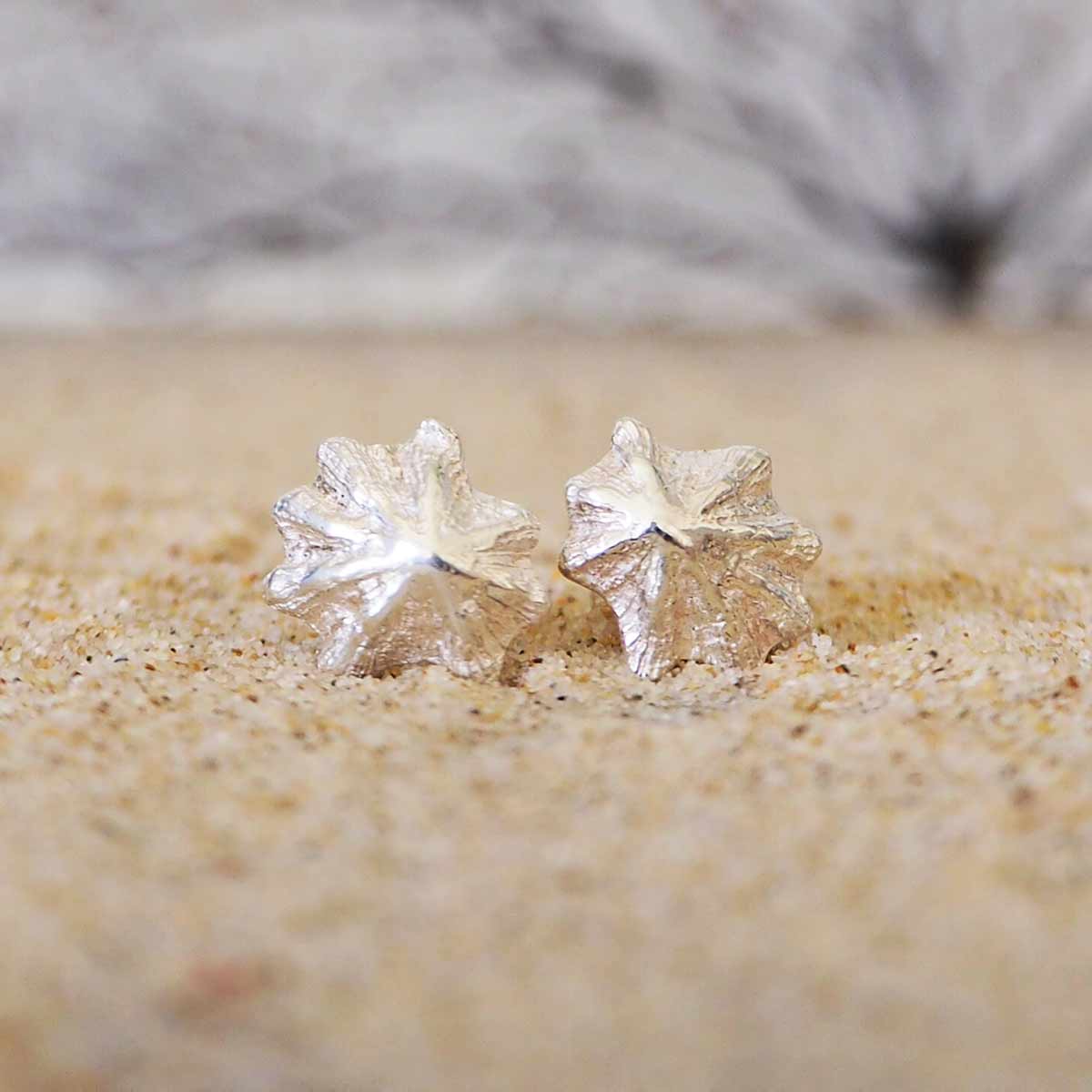 Sea inspired Limpet Shell Stud Earrings closeup on sand texture