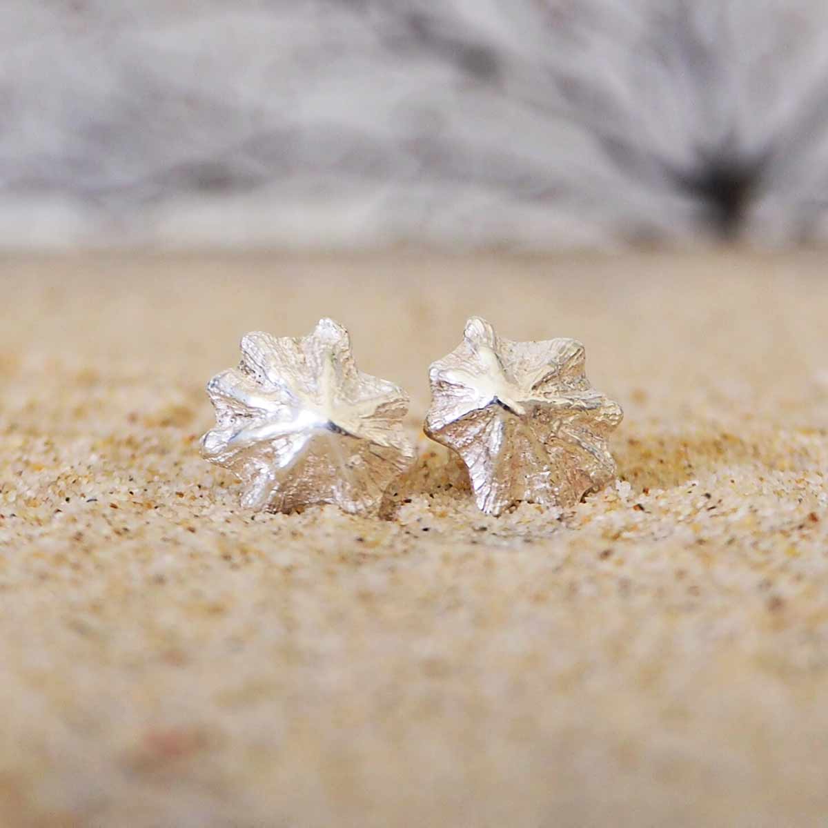 Sea inspired Limpet Shell Stud Earrings closeup