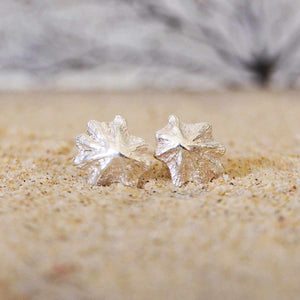 Sea inspired Limpet Shell Stud Earrings closeup on sand texture